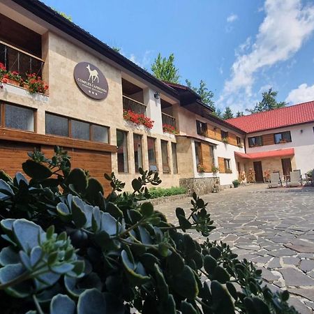 Complex Turistic Caprioara Hotell Baia Mare Eksteriør bilde